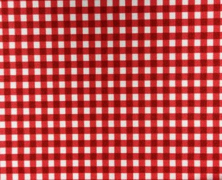 Gingham Check Red