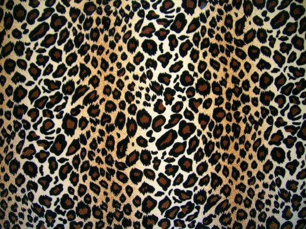 Leopard Stretch Velvet