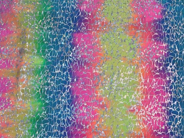 Carnival Rainbow