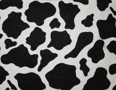Cow Print Spandex