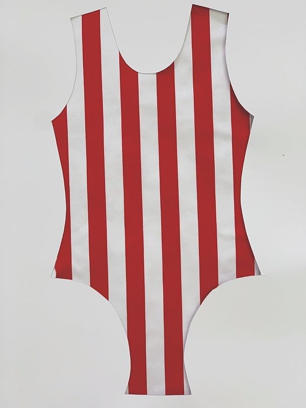 Wide Stripe Spandex Red White