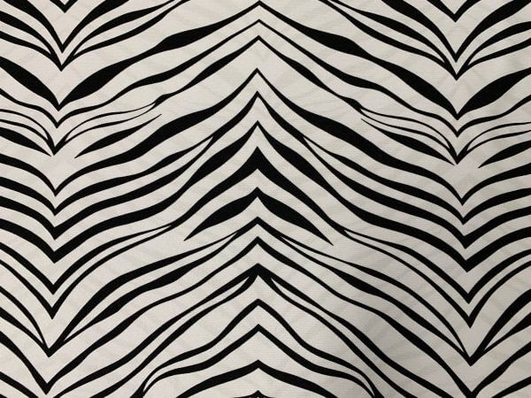 Zebra Spandex