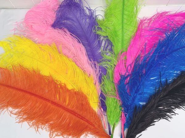 Ostrich Feather Plume